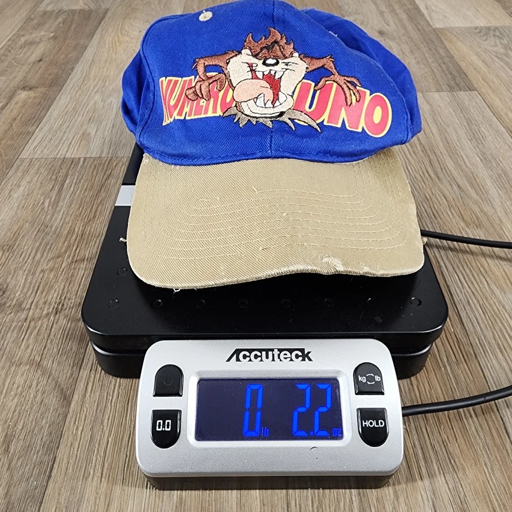 Vtg 1996 Looney Tunes Taz Snapback Hat Blue‎ Tan Fresh Caps USA Kids Distressed